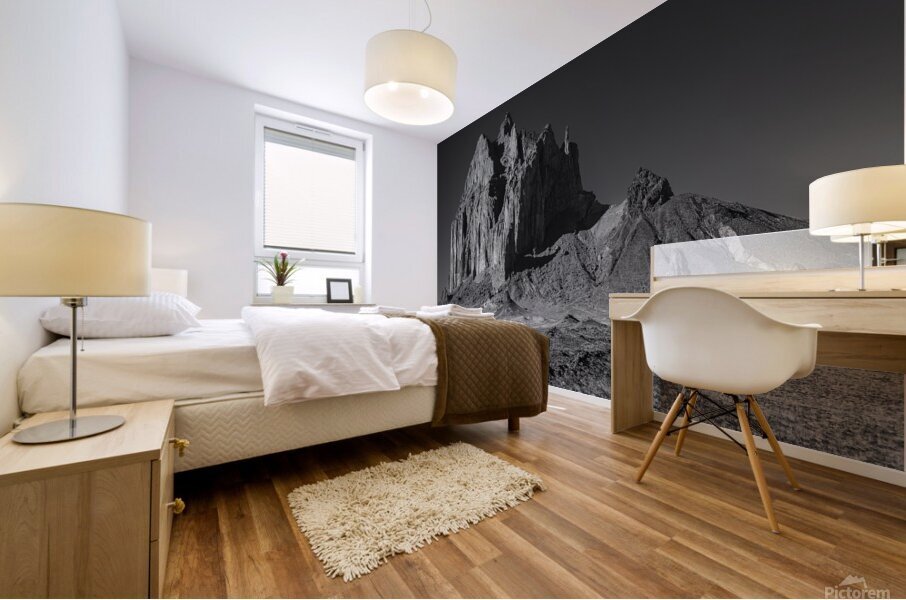 Shiprock Mural print