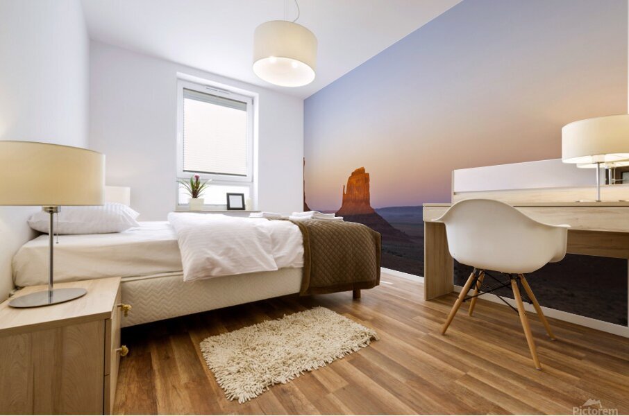 Monument Valley Mural print