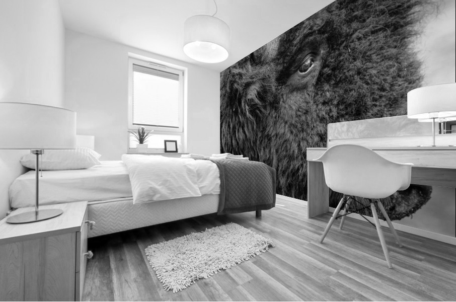 Bison Mural print
