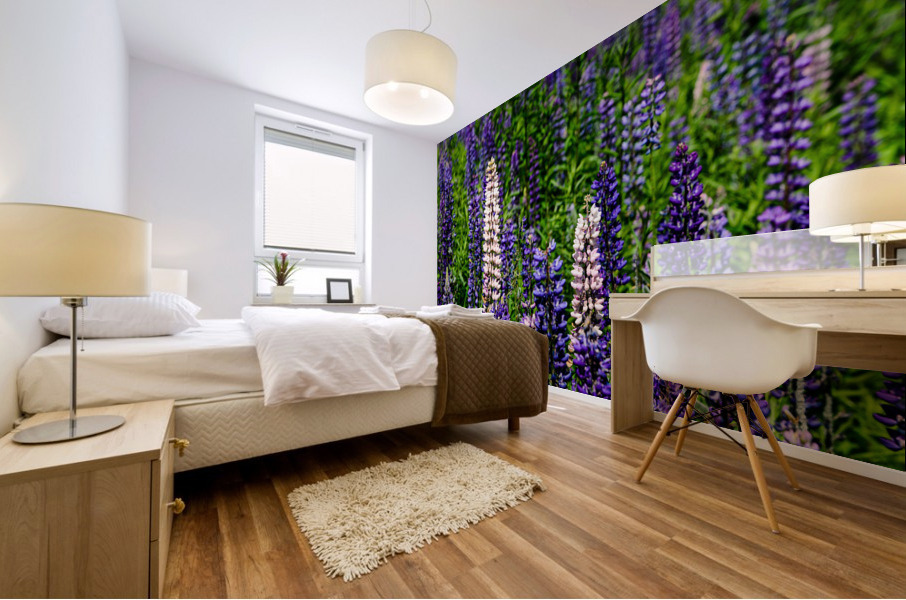 Lupine Mural print
