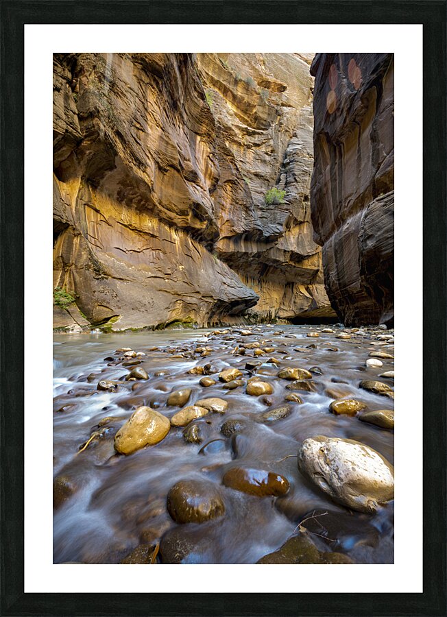 Zion Narrows Picture Frame print