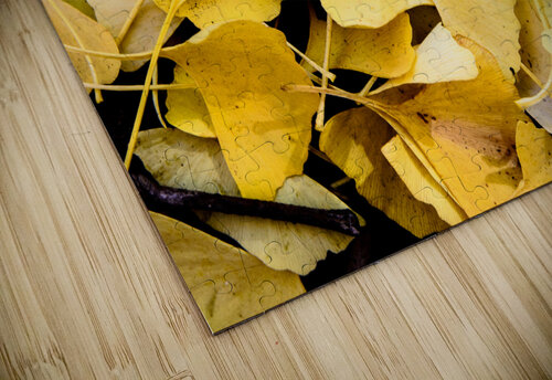 Ginkgo Rustic Luxury puzzle