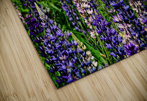 Lupine Rustic Luxury puzzle
