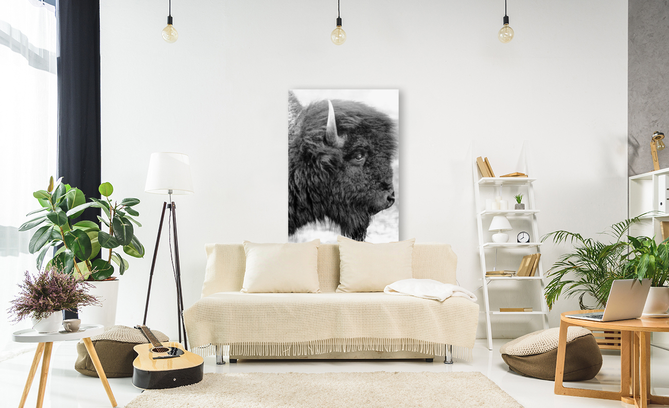 Bison Reproduction