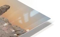 White Pocket Monument HD Metal print
