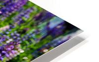 Lupine HD Metal print