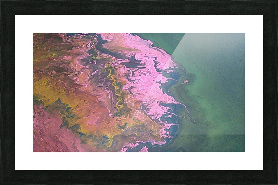 KIMG4113 Picture Frame print