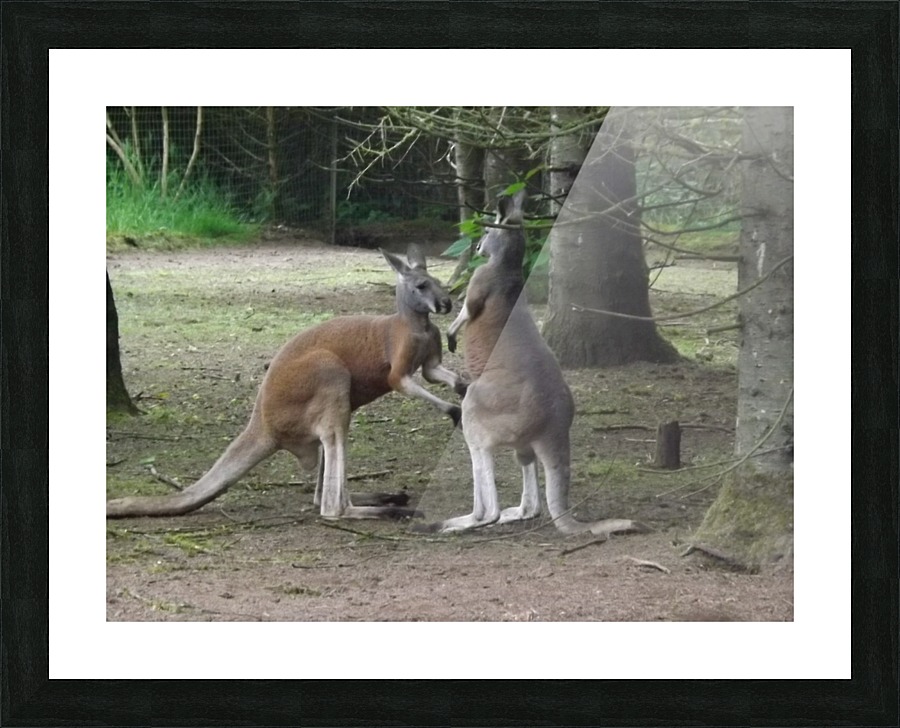 pics 175 Picture Frame print
