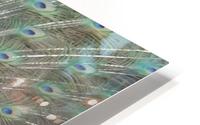 pics 127 HD Metal print
