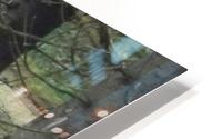 pics 175 HD Metal print