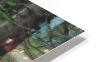pics 176 HD Metal print