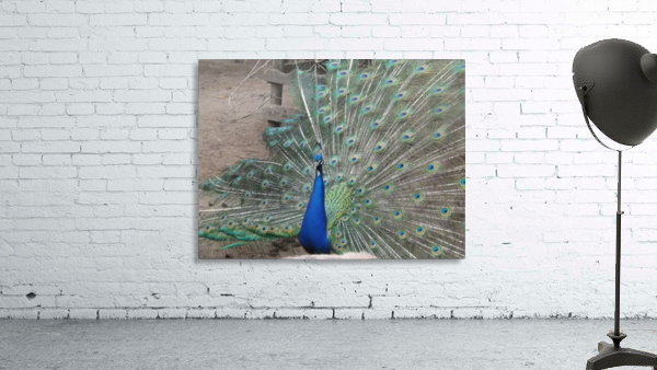 pics 127 Wall Preview
