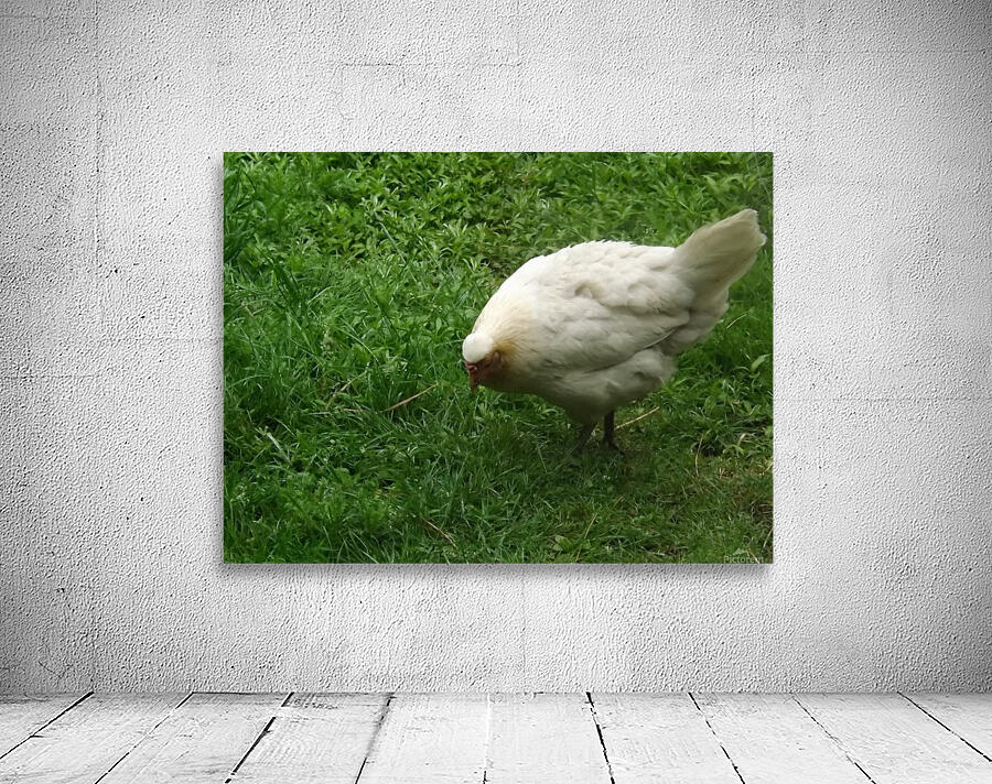 pics 132 Wall Preview