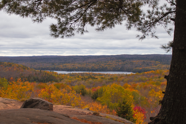 Algonquin Centenial Ridges 2 Digital Download