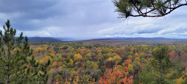 Algonquin Lookout Trail Digital Download