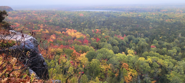 Cup and Saucer Trail 1 Digital Download