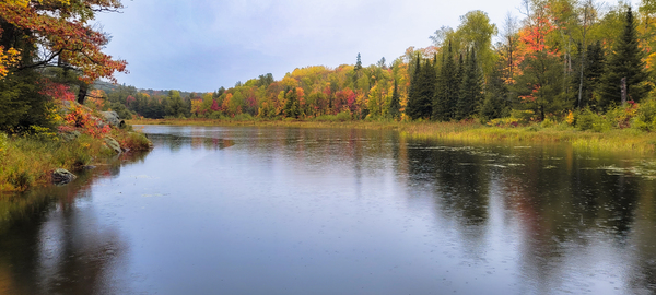 Killarney   The Crack 1 Digital Download