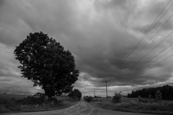 Ominous Road Digital Download
