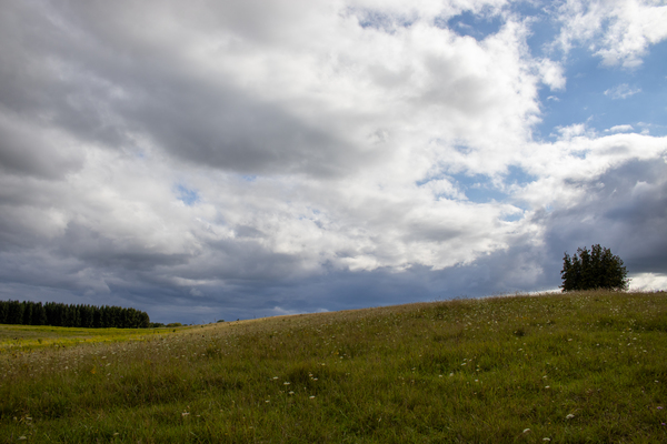 Rolling Meadow Digital Download