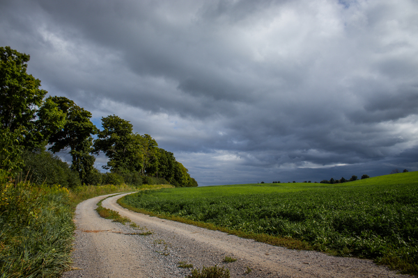 Sunday Drive Digital Download