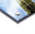 Algonquin Logging Museum trail Acrylic print