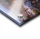 Cup and Saucer Trail 1 Acrylic print