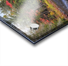 Algonquin Track and Tower Trail 2 Acrylic print