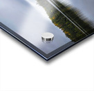 Limberlost Forest Solitaire Trail Acrylic print