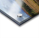 Algonquin Spruce Bog Boardwalk Acrylic print