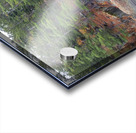 Algonquin Centenial Ridges 6 Acrylic print