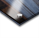 McLaughlin Bay Wildlife Reserve Swans Acrylic print