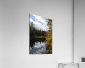 Algonquin Track and Tower Acrylic Print