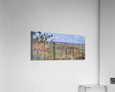 Algonquin Centenial Ridges 5 Acrylic Print