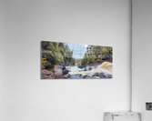 Algonquin Ragged Falls Acrylic Print