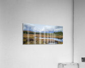 Algonquin Spruce Bog Boardwalk Acrylic Print