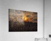 McLaughlin Bay Wildlife Reserve sunset Acrylic Print