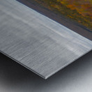 Algonquin Centenial Ridges 3 Metal print