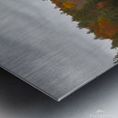 Algonquin Centenial Ridges 4 Impression metal
