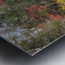 Algonquin Track and Tower Trail 2 Metal print