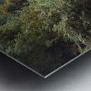 Algonquin Ragged Falls Metal print