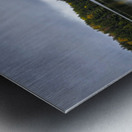 Limberlost Forest Solitaire Trail Metal print