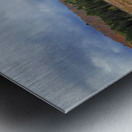 Algonquin Spruce Bog Boardwalk Metal print