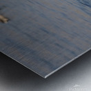 Toronto Lakefront Ducks Metal print