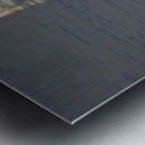 Toronto Lakefront Swans Metal print