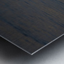 Toronto Lakefront Swan Metal print