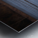 McLaughlin Bay Wildlife Reserve Swans Metal print