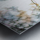 McLaughlin Bay Wildlife Reserve   birdhouse Metal print