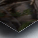 McLaughlin Bay Wildlife Reserve Chickadee Impression metal