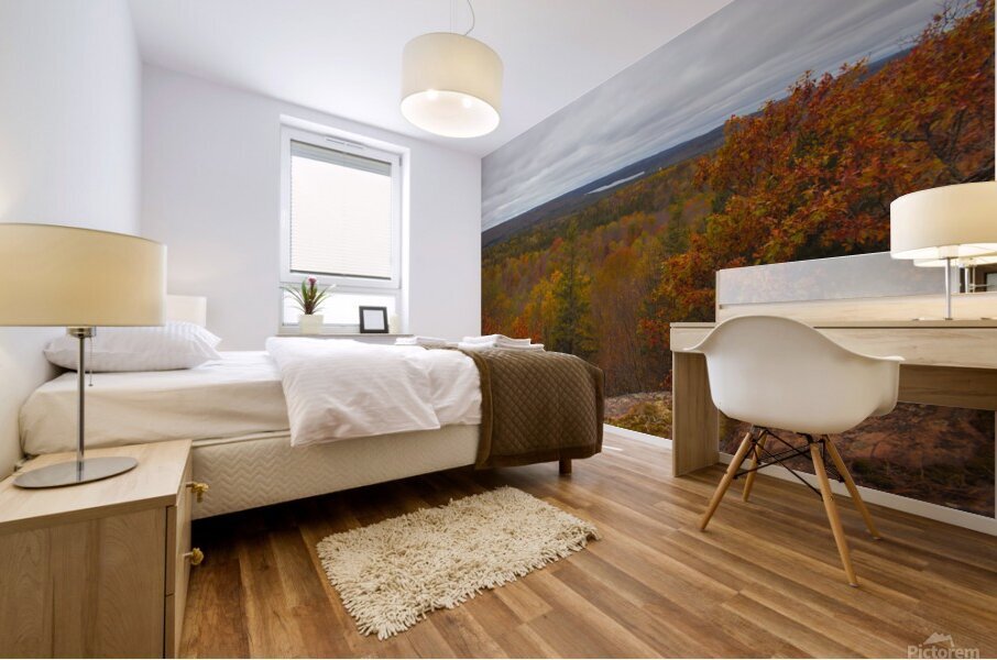 Algonquin Centenial Ridges 3 Mural print