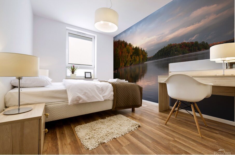 Ahmic Lake 1 Mural print